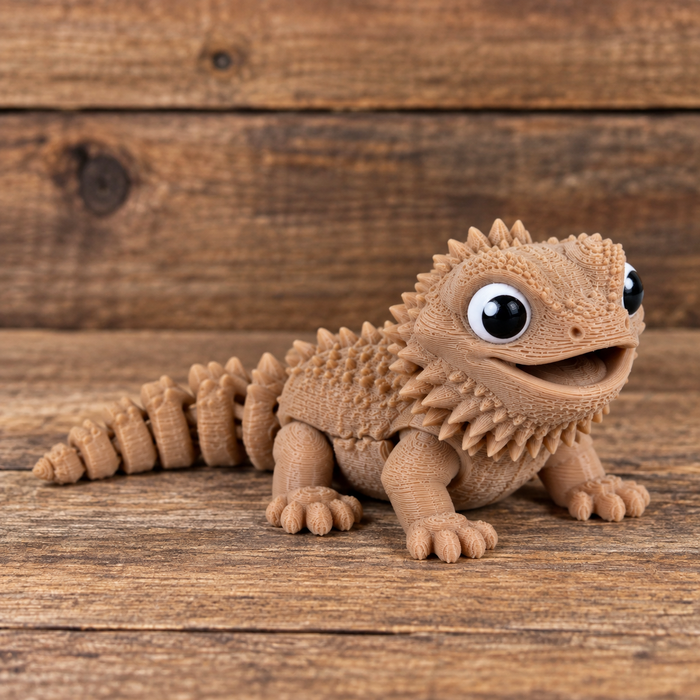Baby Bearded Dragon